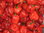 10gr Habanero Red seeds (Capsicum chinense)