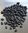 100 gr Semillas de Frijol Negro (Phaseolus vulgaris sp.)